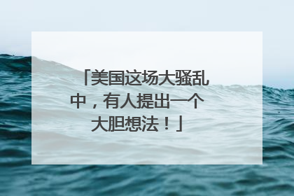 美国这场大骚乱中，有人提出一个大胆想法！